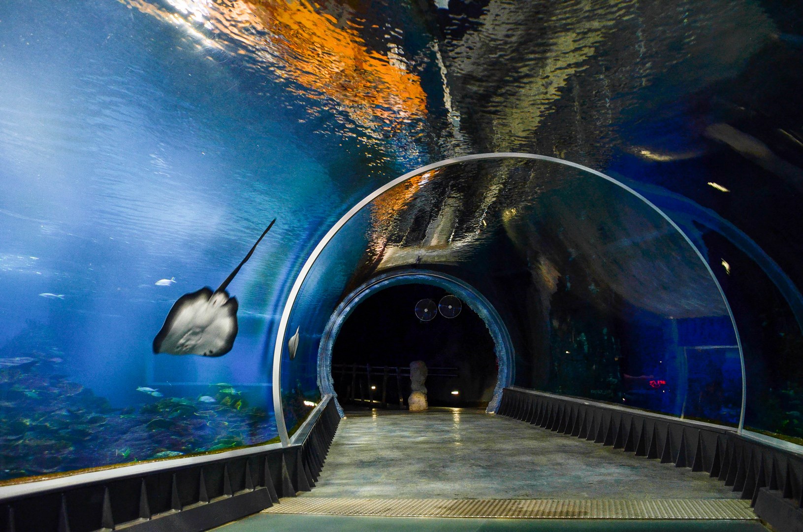 Afrykarium 43