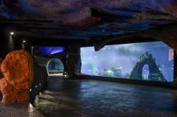 Afrykarium_40