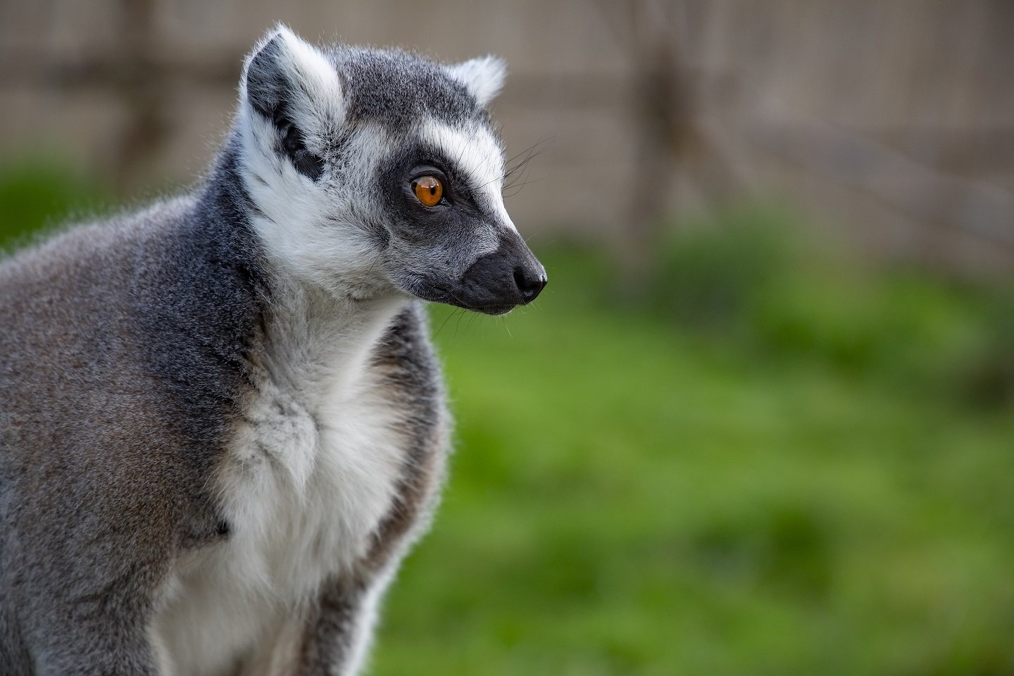 ZOO Łączna