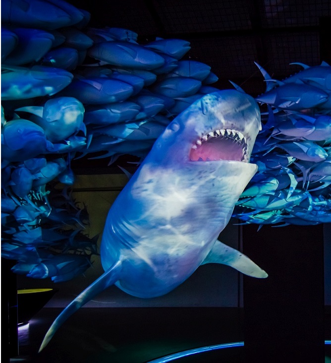 Hydropolis Wrocław