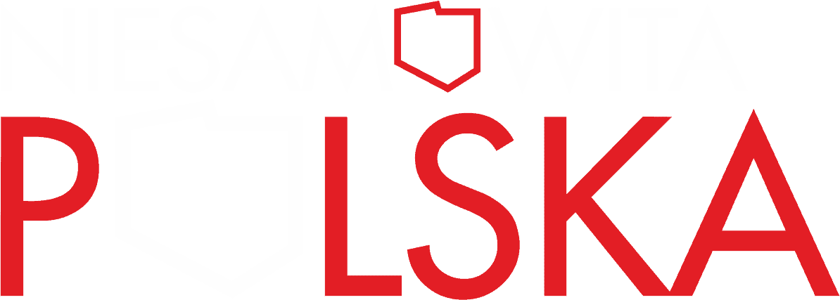 logo niesamowitapolska